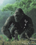 pic for King Kong